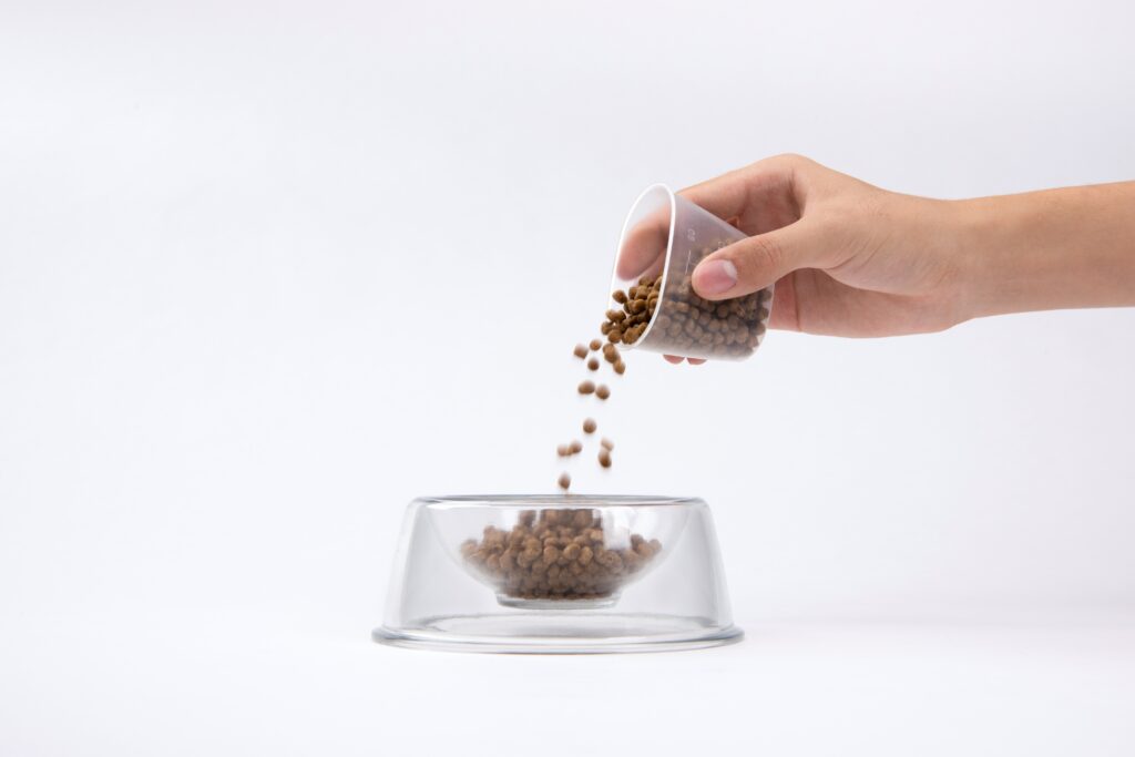 Photo credit: Zhang Jian, Chen Yang, Chen Sijie, Huang Yikai, Gao Gao