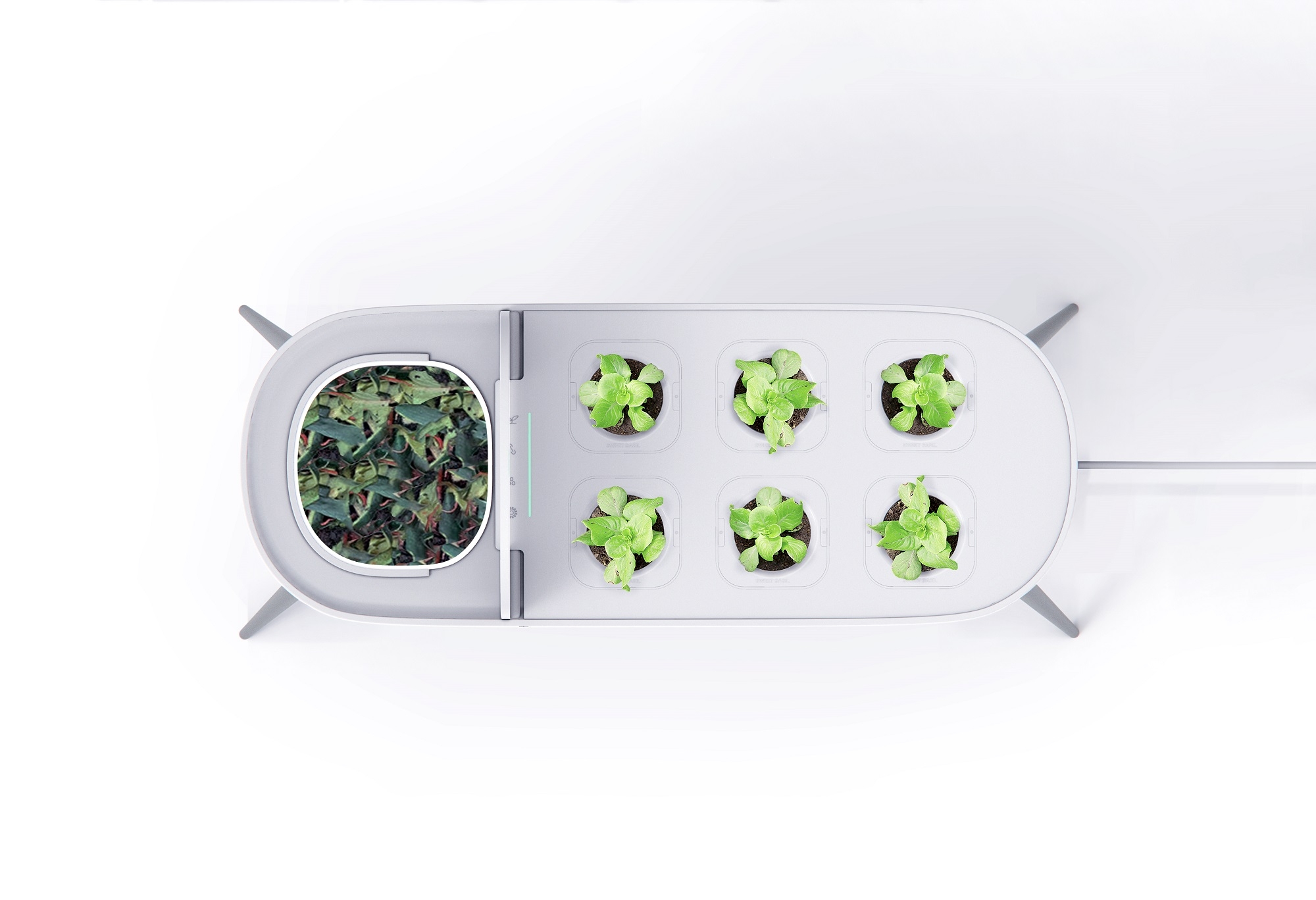 Photo credit: Chaozhi Lin