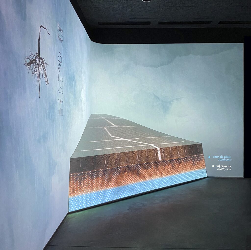 Photo Credit ©Boegly+Grazia