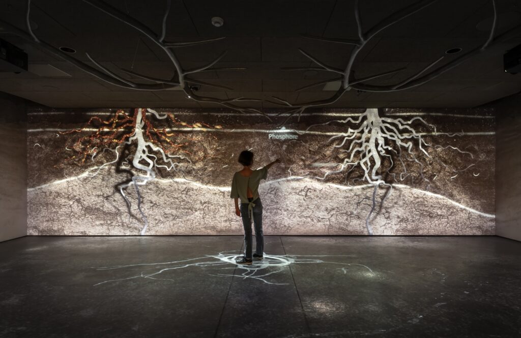 Photo Credit ©Boegly+Grazia