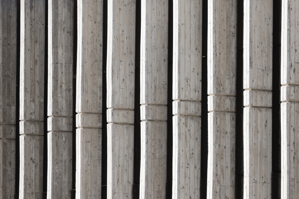 Photo credit: Nimrod Levy