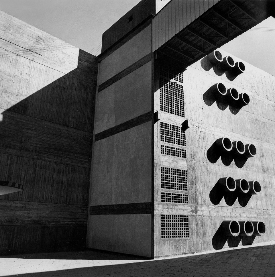 Architect of Brutal Poetry