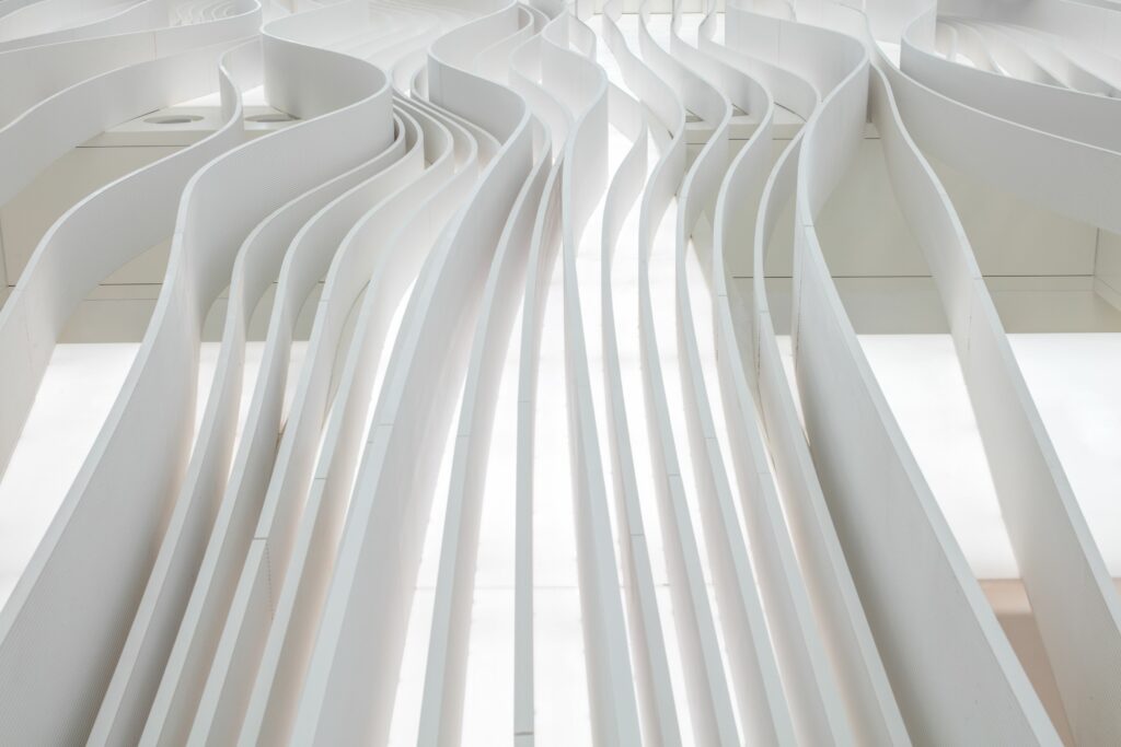 Photo credit: Gerry O'Leary