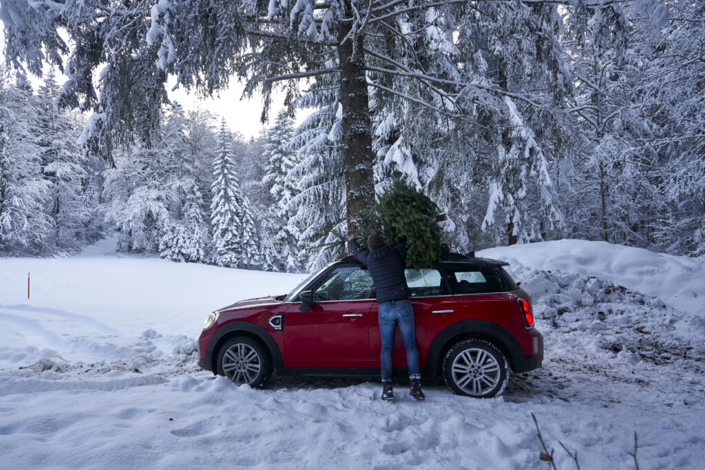 MINI Countryman's Journey to the Perfect Christmas Tree