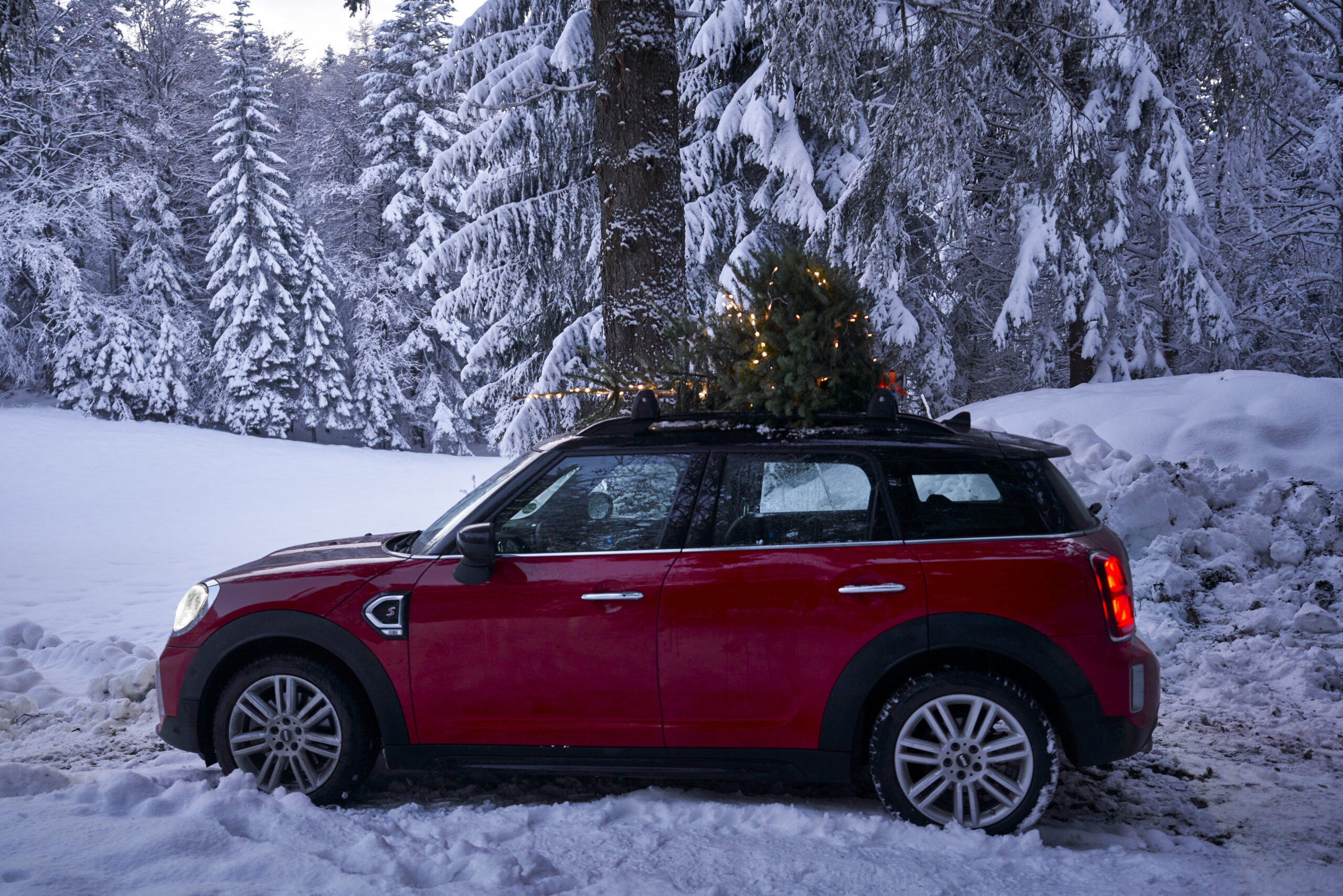 MINI Countryman's Journey to the Perfect Christmas Tree