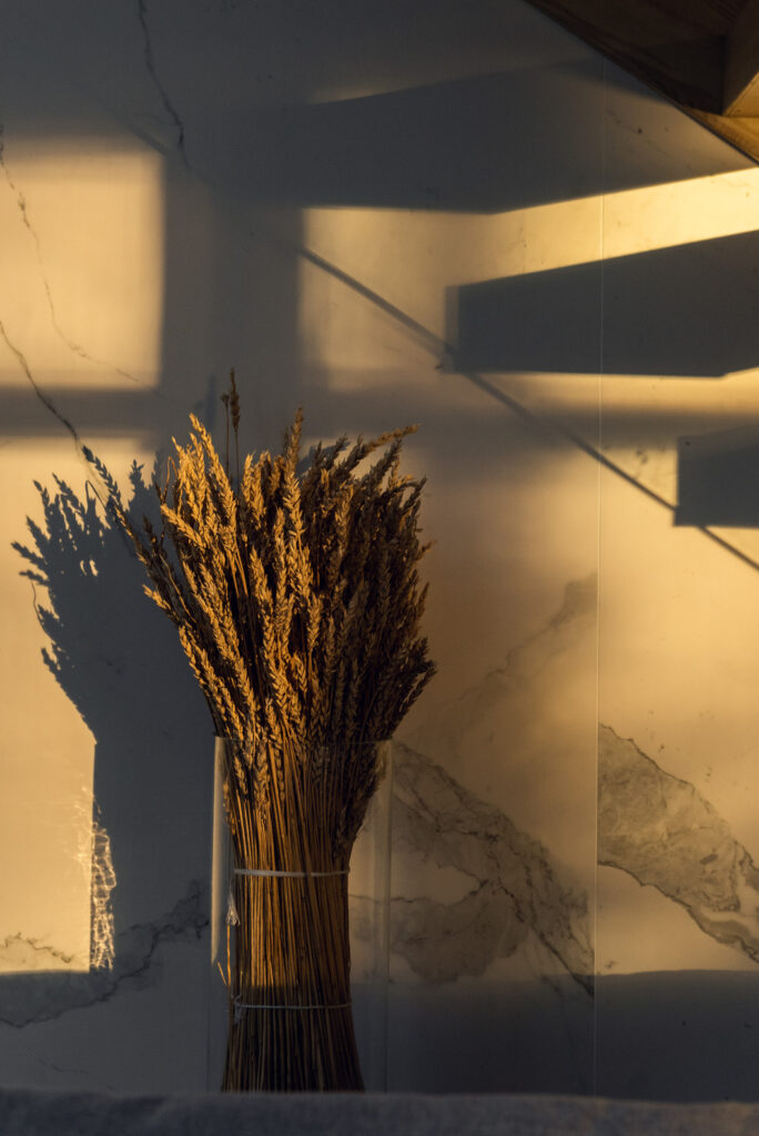 The House Among Pine Trees, Mountains, and Lakes of Kazakhstan