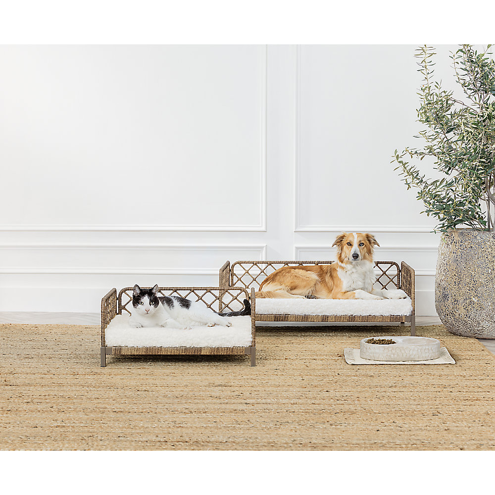 Photo credit: PetSmart