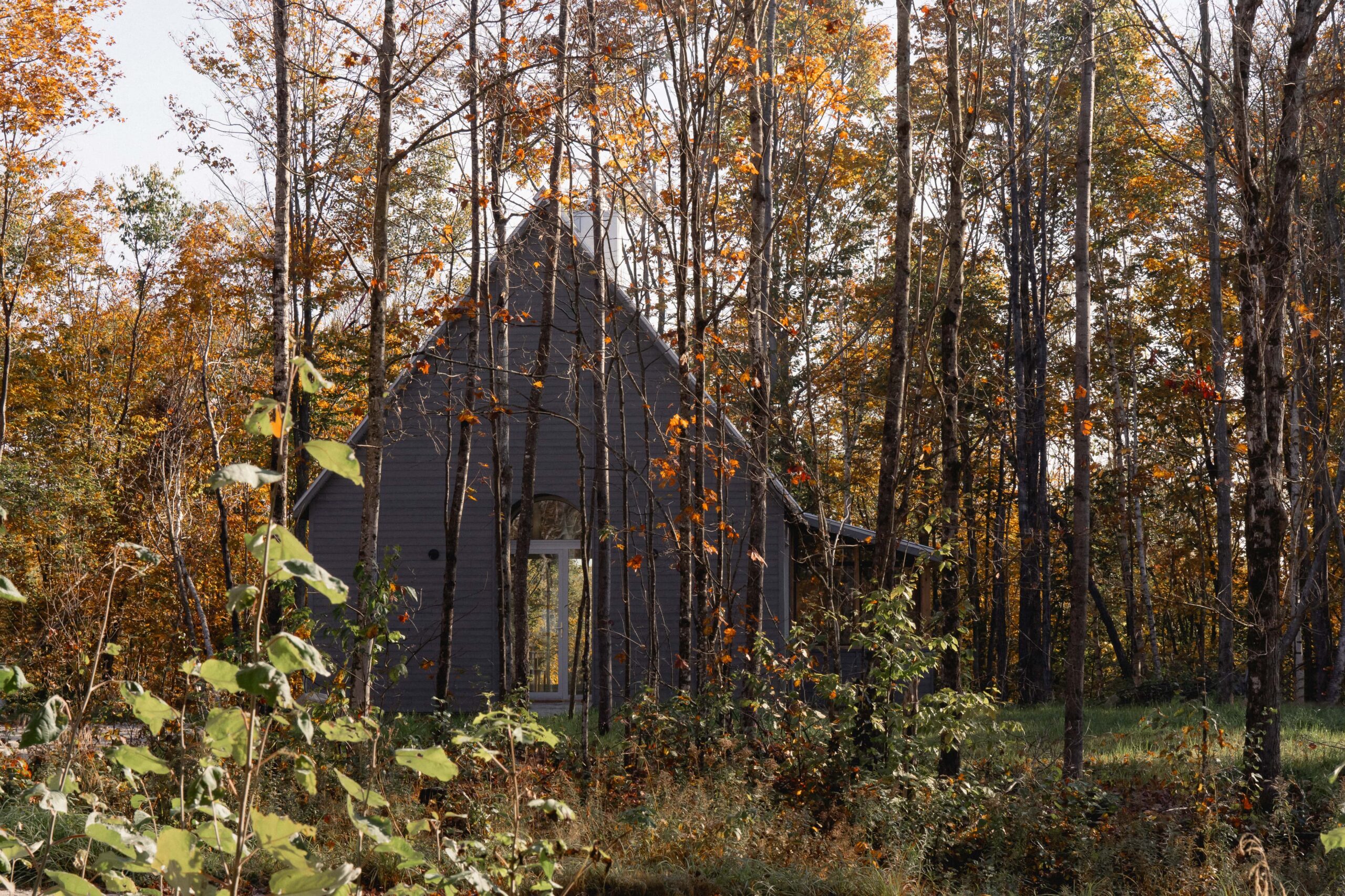 Kanata Cabin, A PetFriendly Retreat Nestled in the Heart of Mont