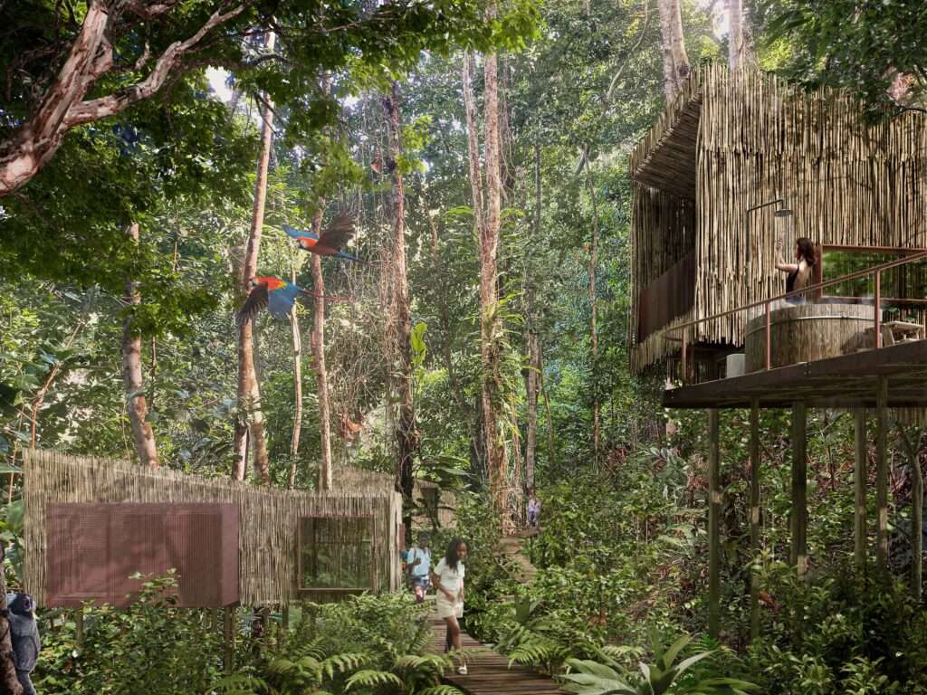 Marupi's Commitment to Light Living and Environmental Harmony