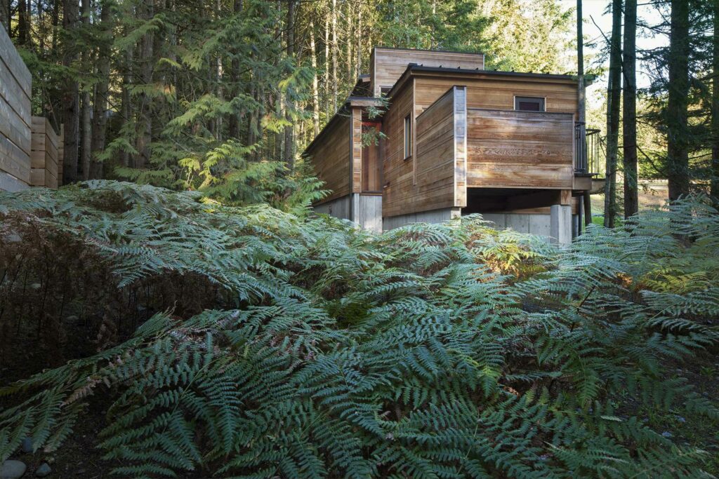 Photo credit: Steven Evans