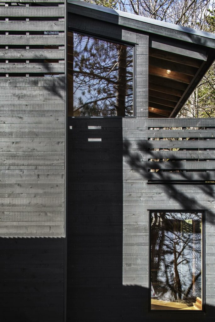 Photo credit: Steven Evans