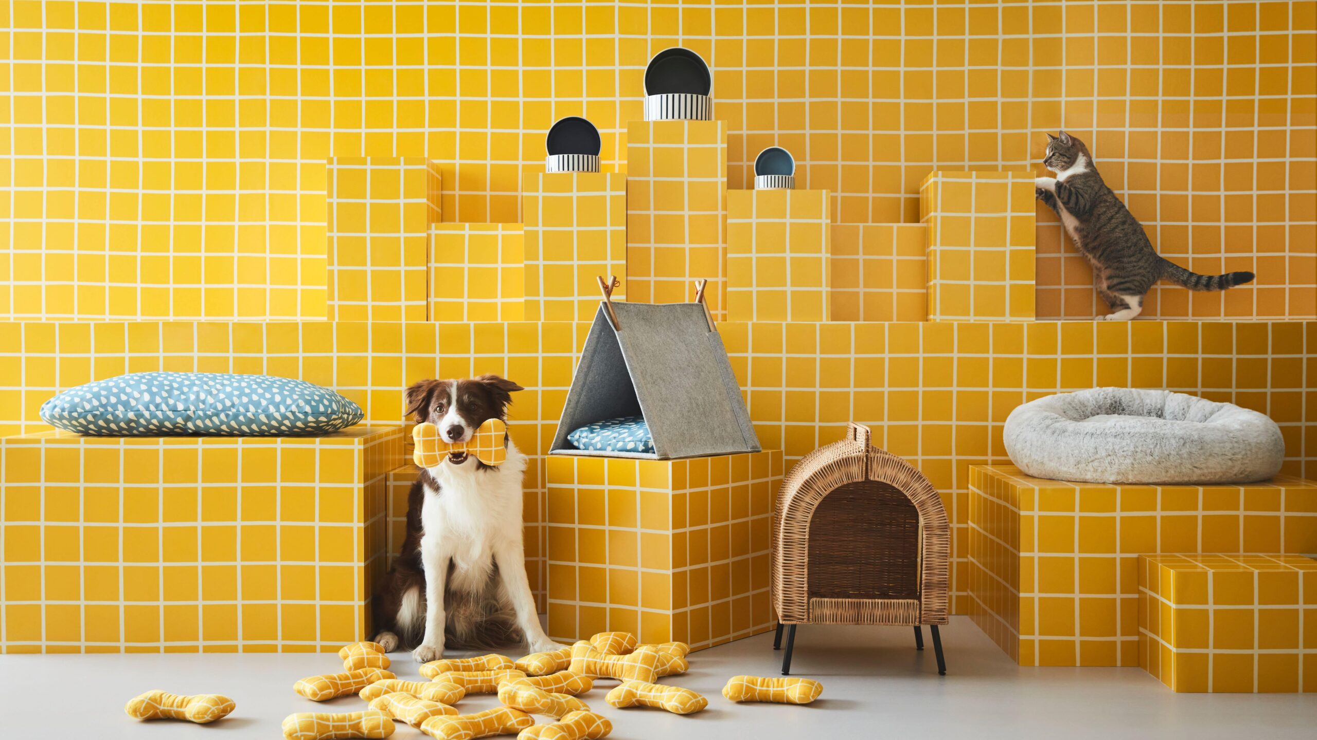 IKEA Launches UTSÅDD Pet Collection - D5 MAG – Design Magazine