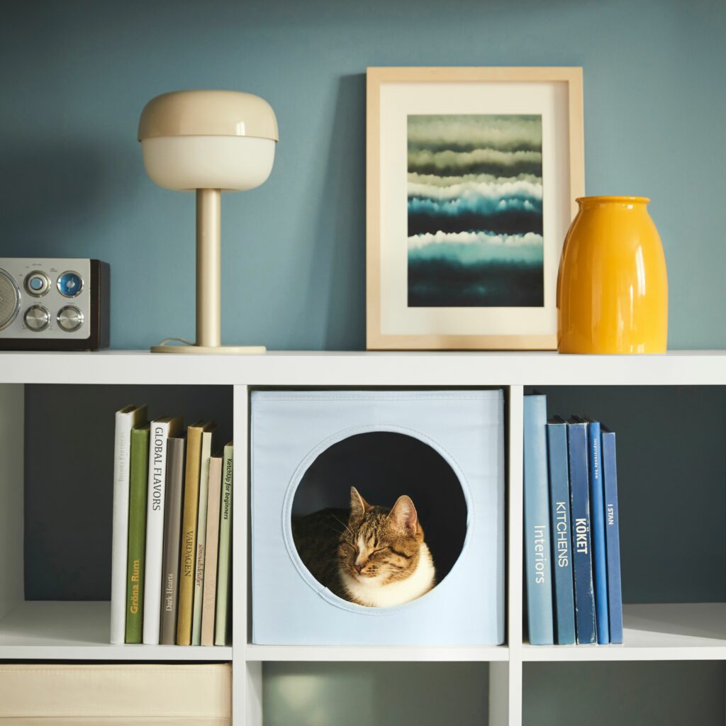 IKEA Launches UTSÅDD Pet Collection