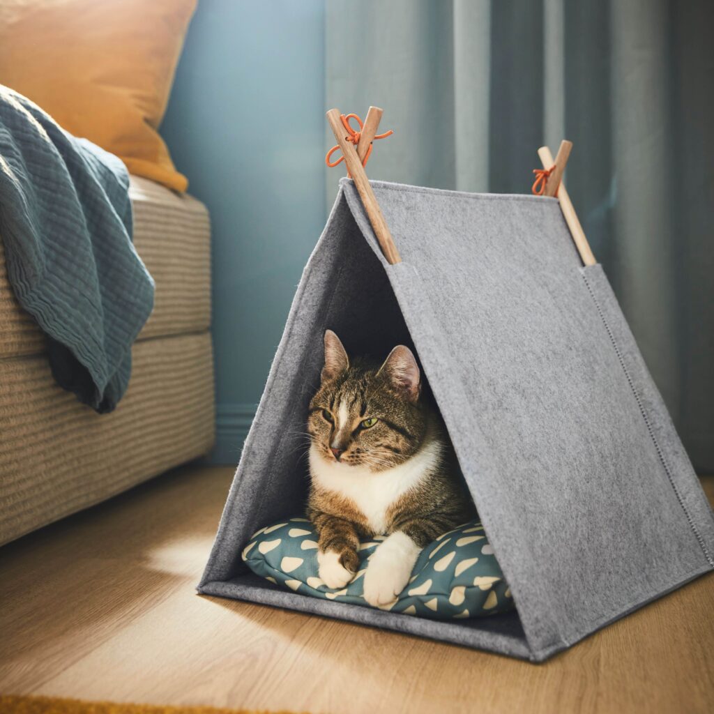 IKEA Launches UTSÅDD Pet Collection