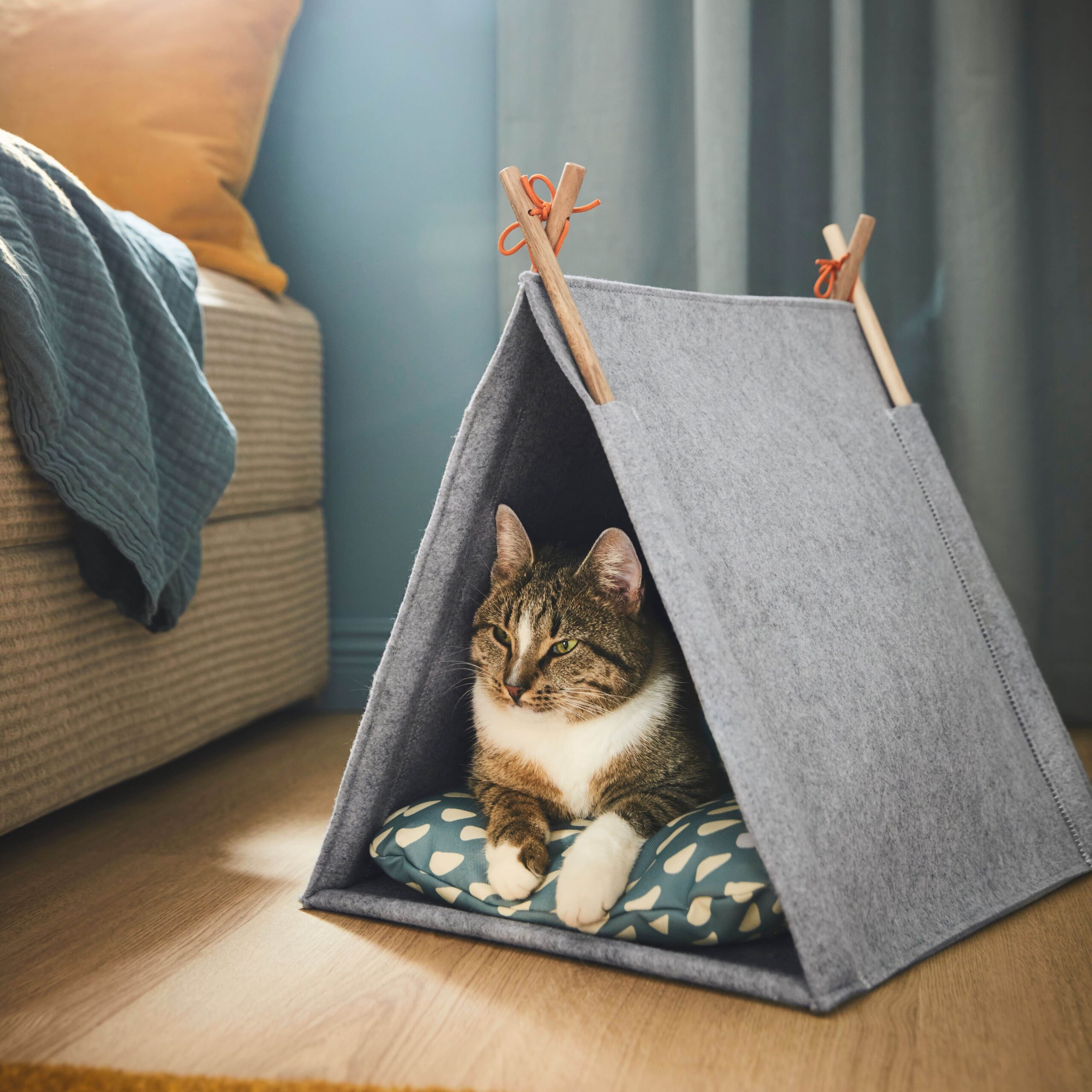 IKEA Launches UTSÅDD Pet Collection - D5 MAG – Design Magazine