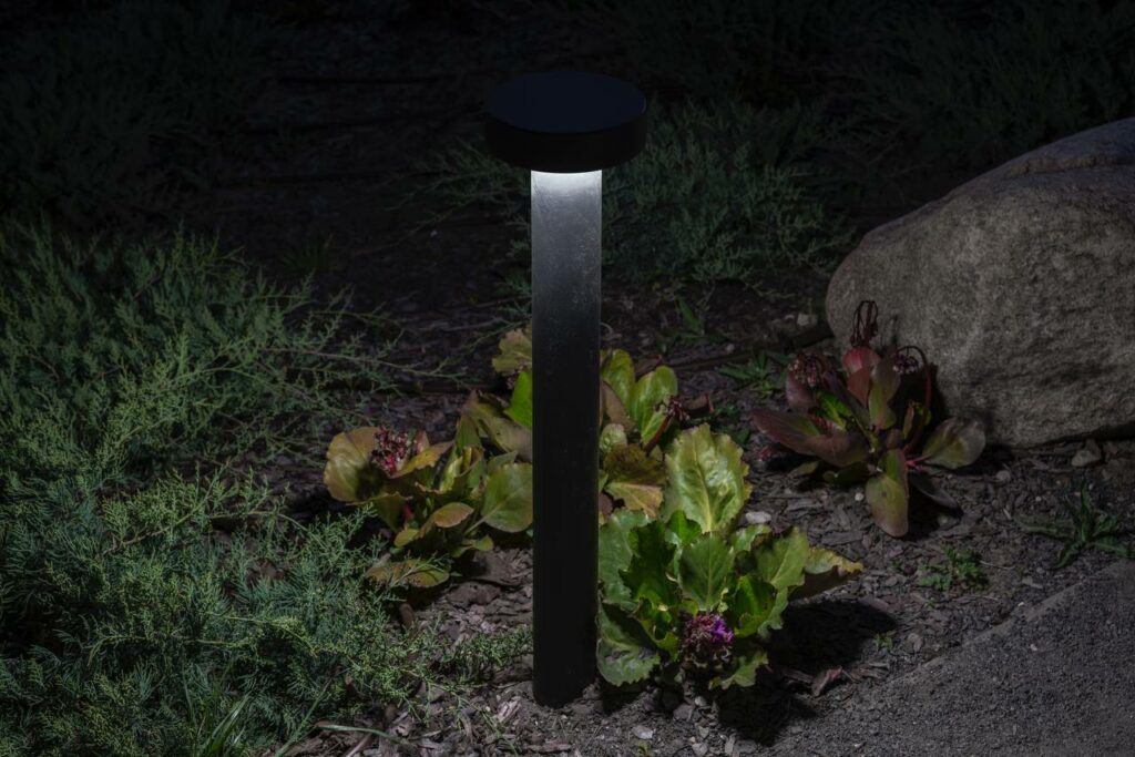 Photo credit: KULTURA SVETA