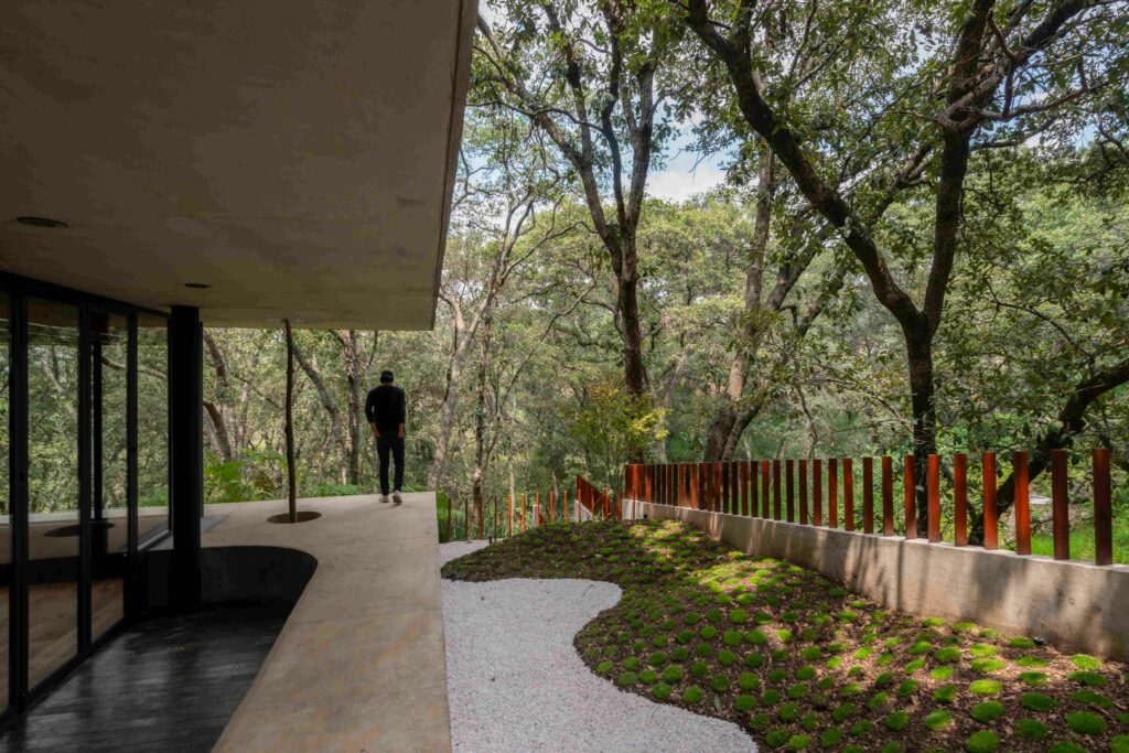 Photo credit: Jaime Navarro