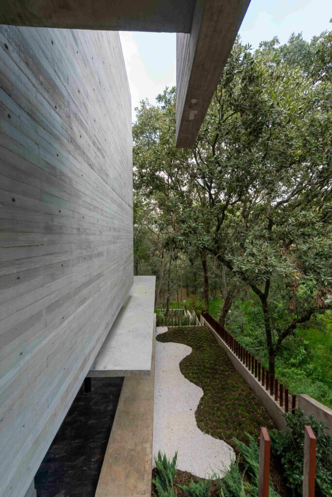 Photo credit: Jaime Navarro