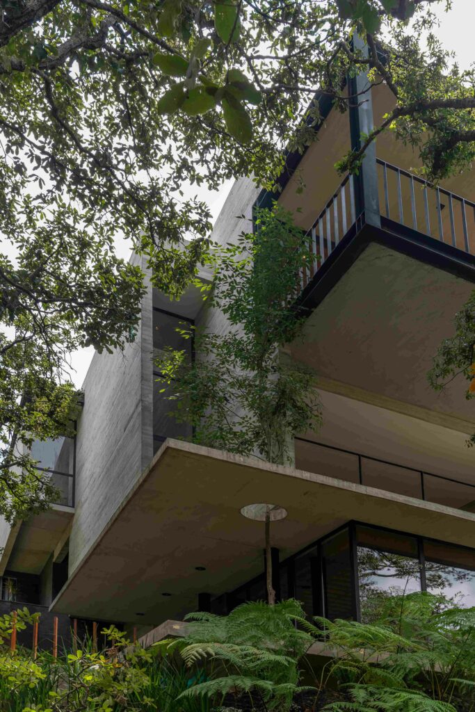 Photo credit: Jaime NavarroPhoto credit: Jaime Navarro