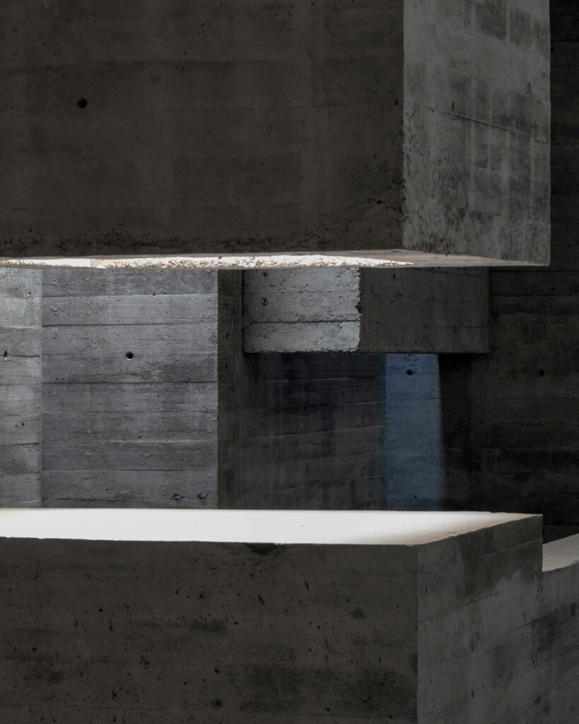 Photo credit: Edmund Sumner