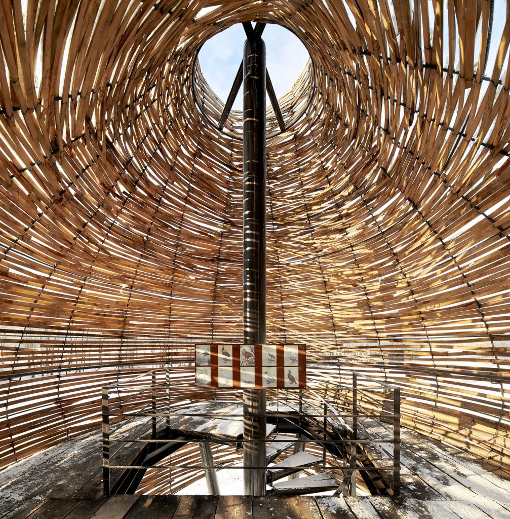 Observatory, Čigoč