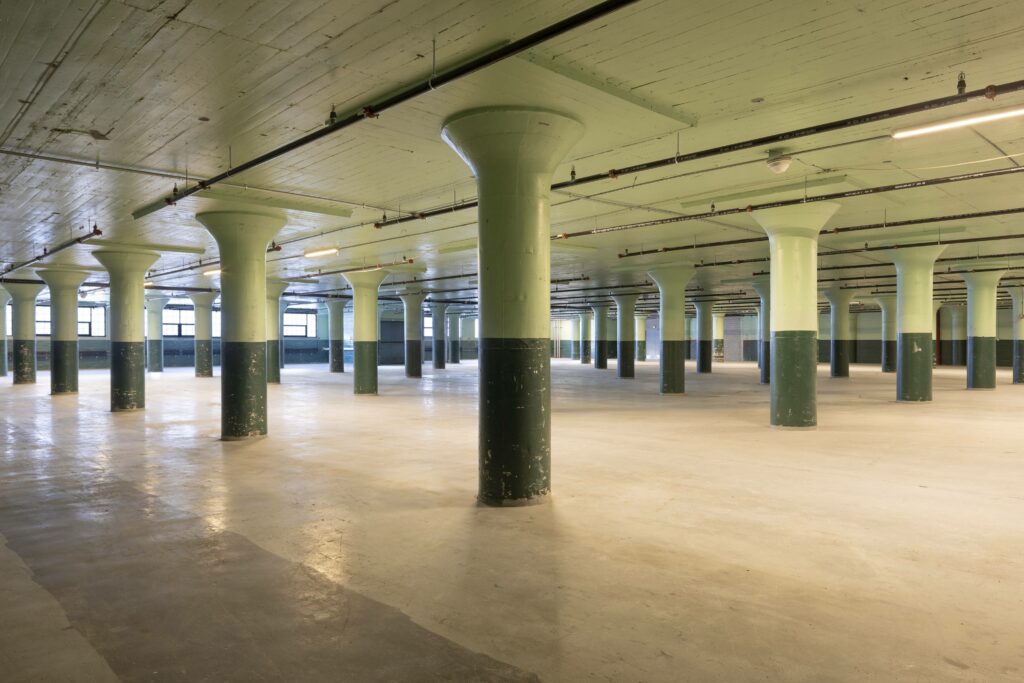 Photo credit: Michael Moran