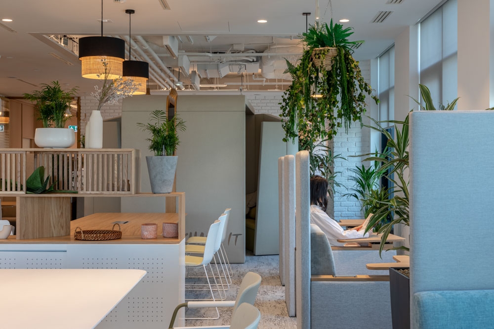 Photo credit: Sabin Prodan