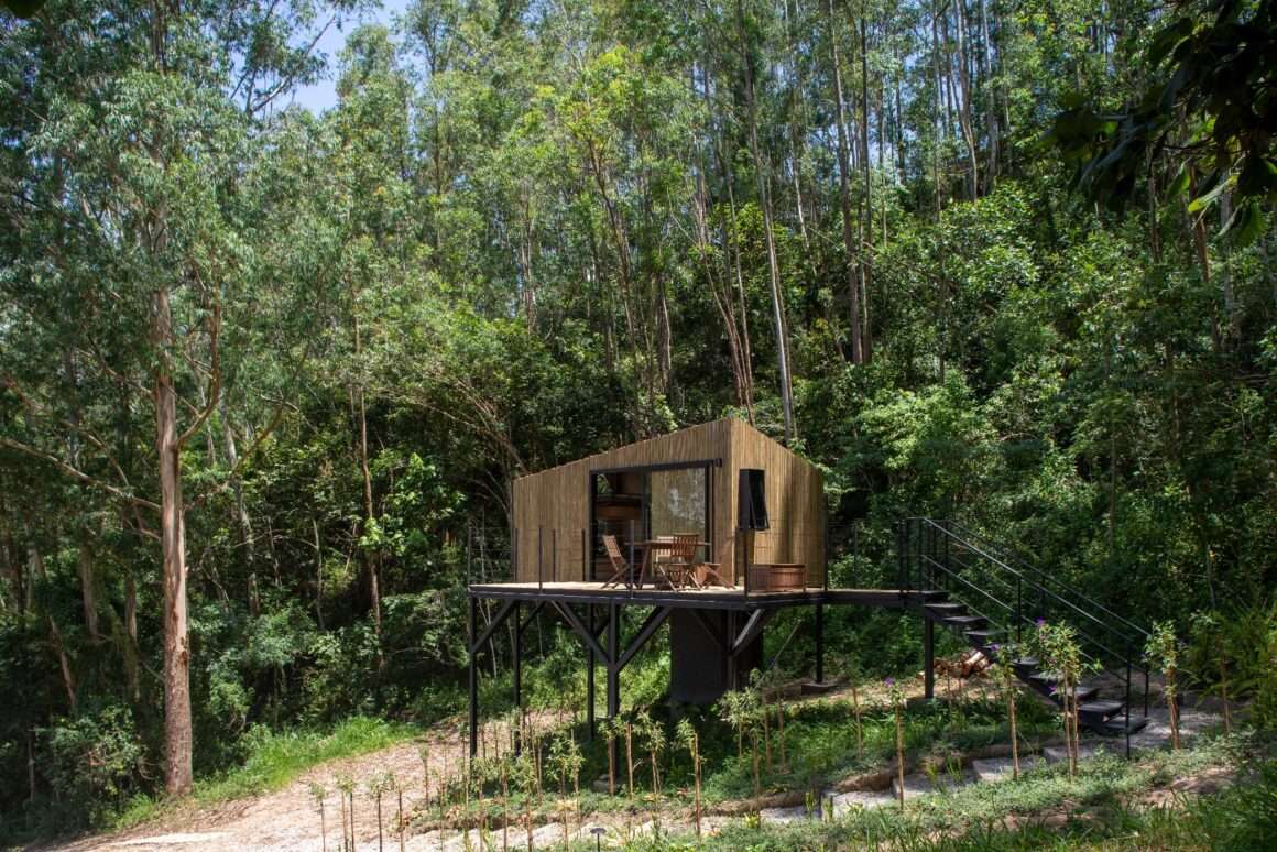 Stay in a Tiny House Among the Trees D5 MAG