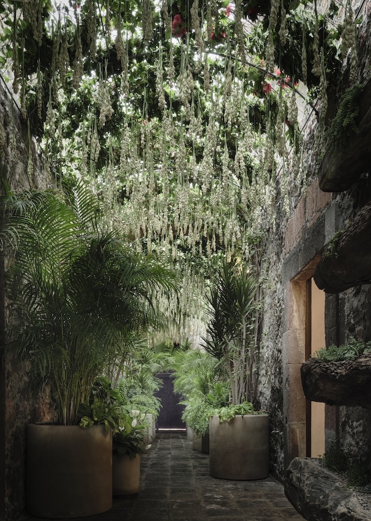 Photo credit: courtesy of La Casa Dragones