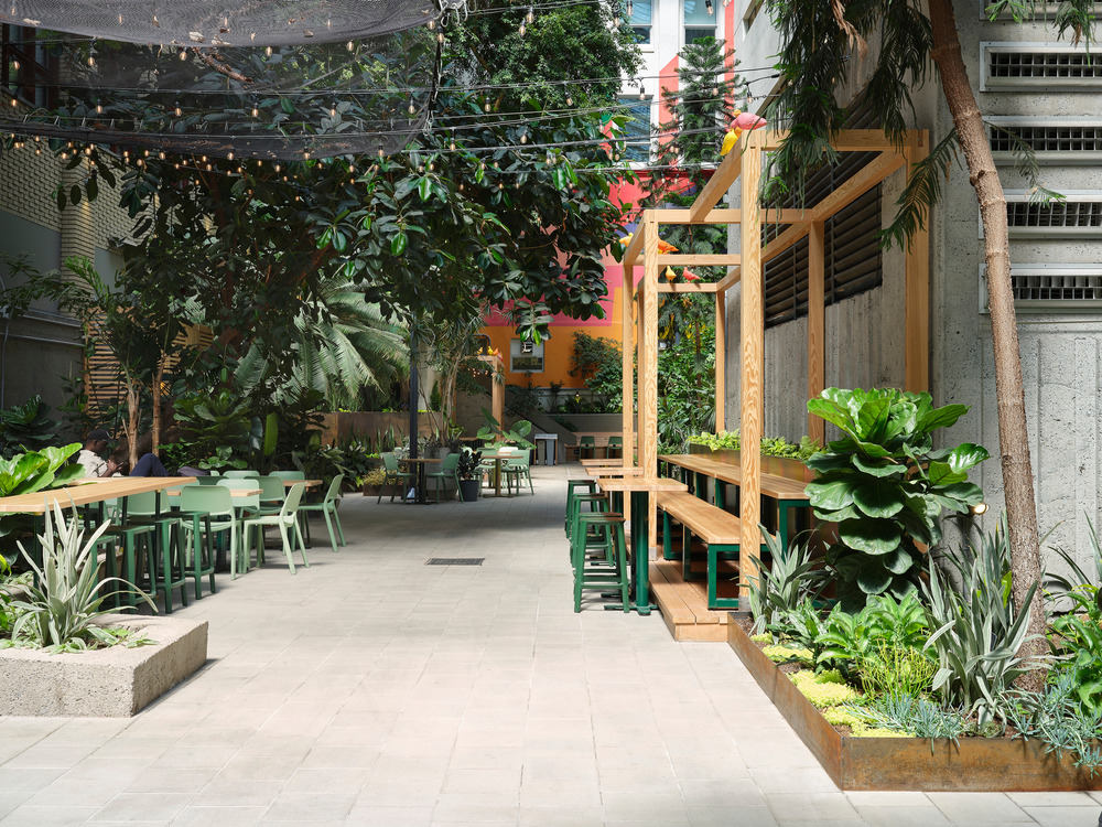 Collège de Maisonneuve - Interior Garden