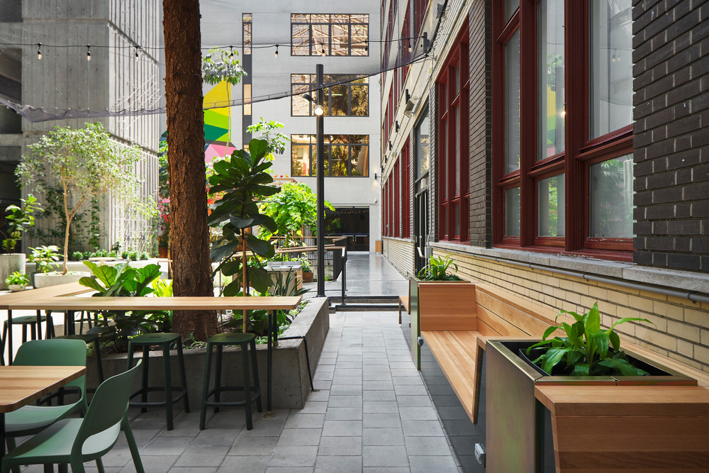 Collège de Maisonneuve - Interior Garden