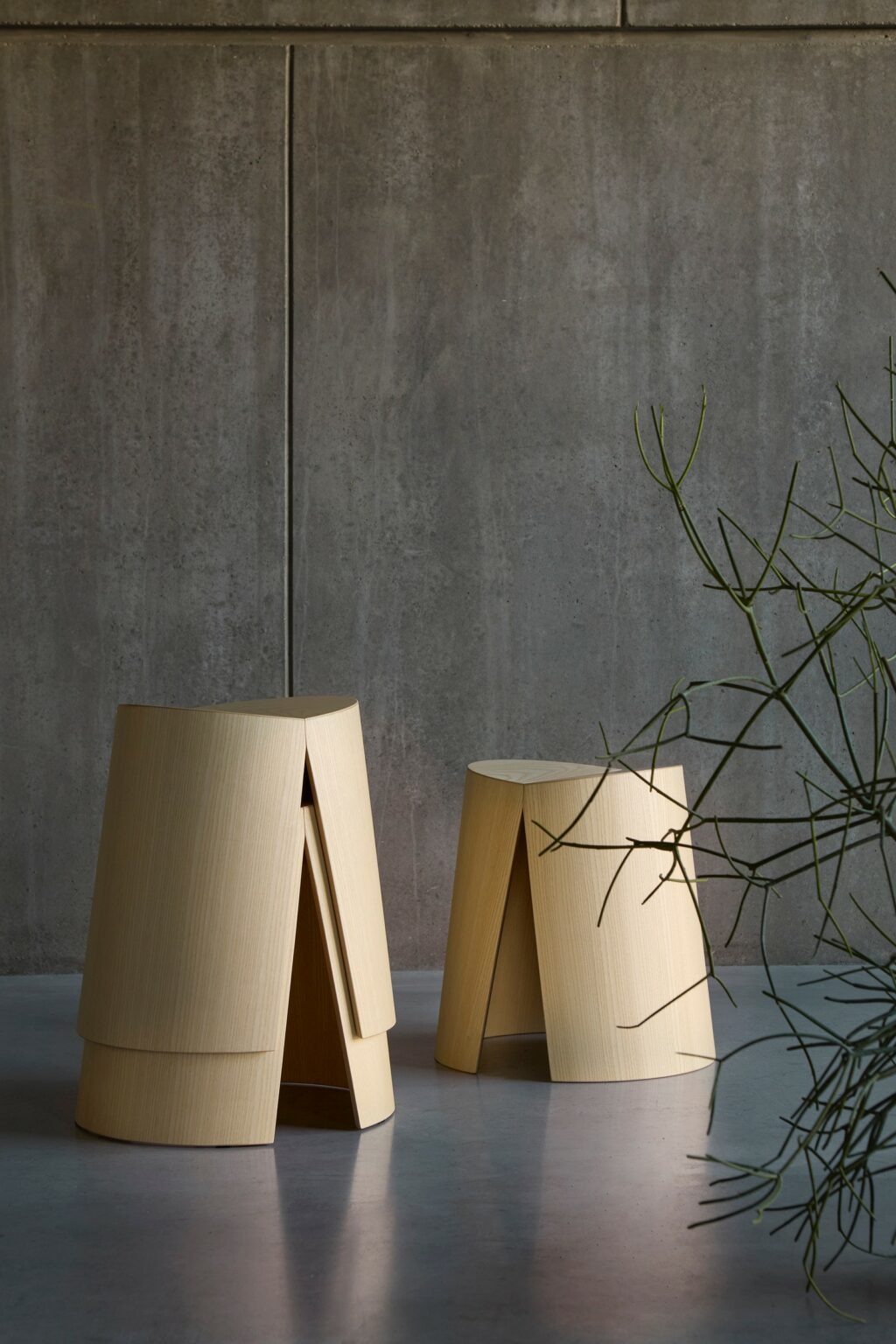 Zilio A&C and Alessandro Stabile Bring Wood Back to Life D5 Design