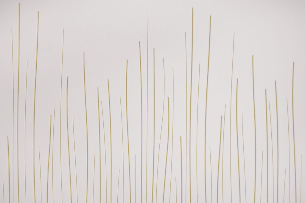 Photo credit: courtesy of FilzFelt