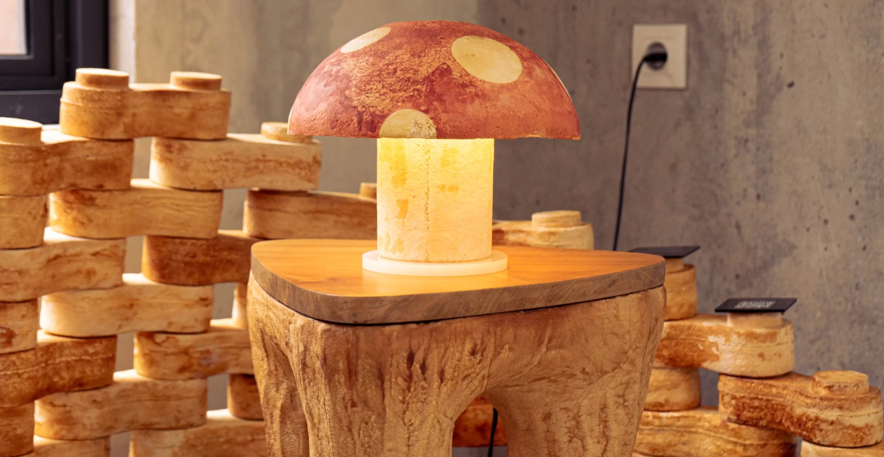 Are Mushroom-Based Materials the Future of Interior Design? - D5 MAG ...