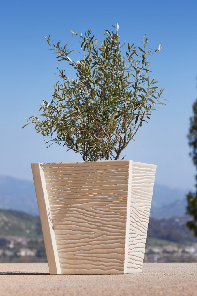 Stone Yard, Inc. Launches New Collection with Designer Roger Thomas