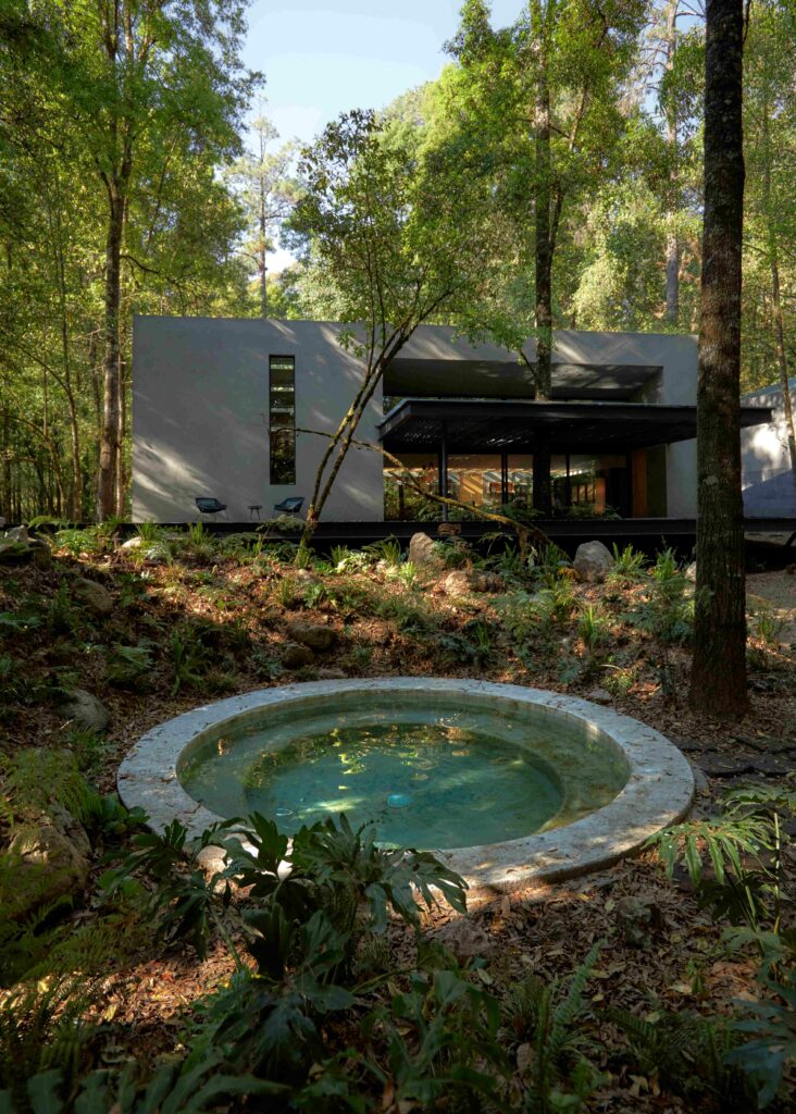 Photo credit: Sergio López