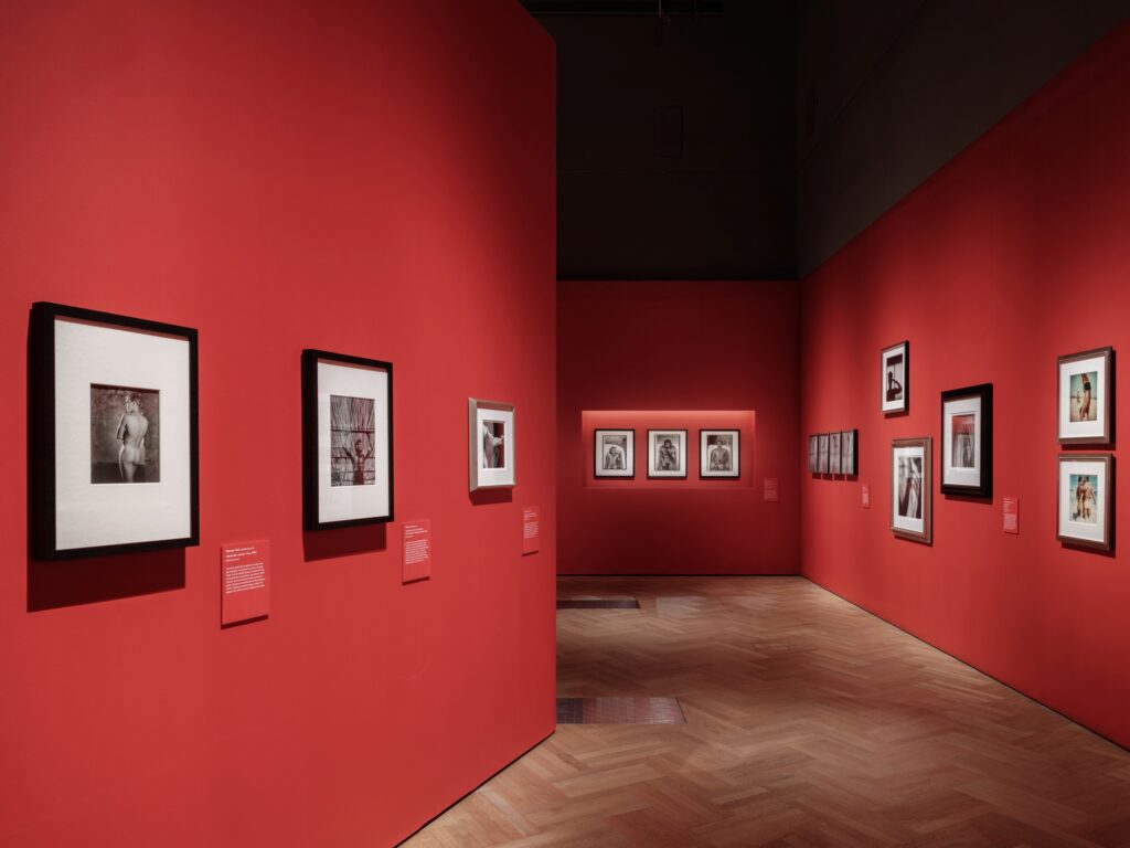 'Desire' considers beauty and the male body