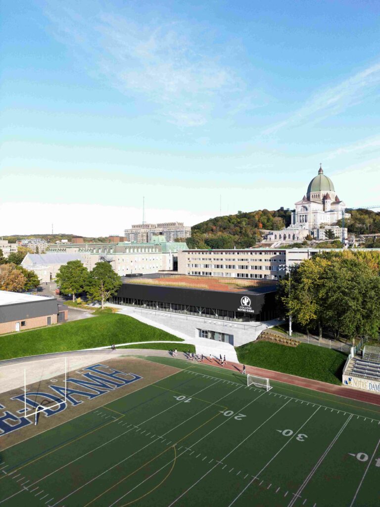 Photo credit: Adrien Williams