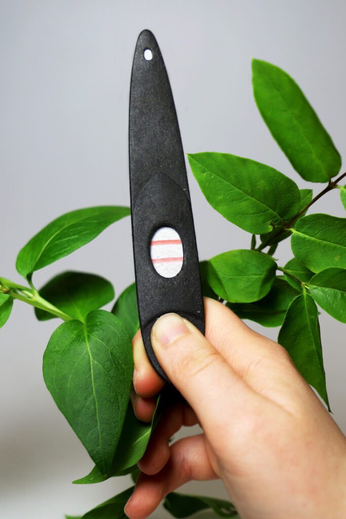 all-natural and fully biodegradable pregnancy test by Will Falch