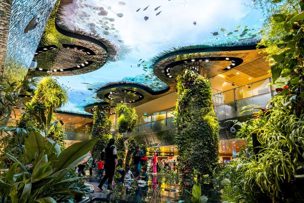 Photo credit: Changi Airport Group - Fabian Ong