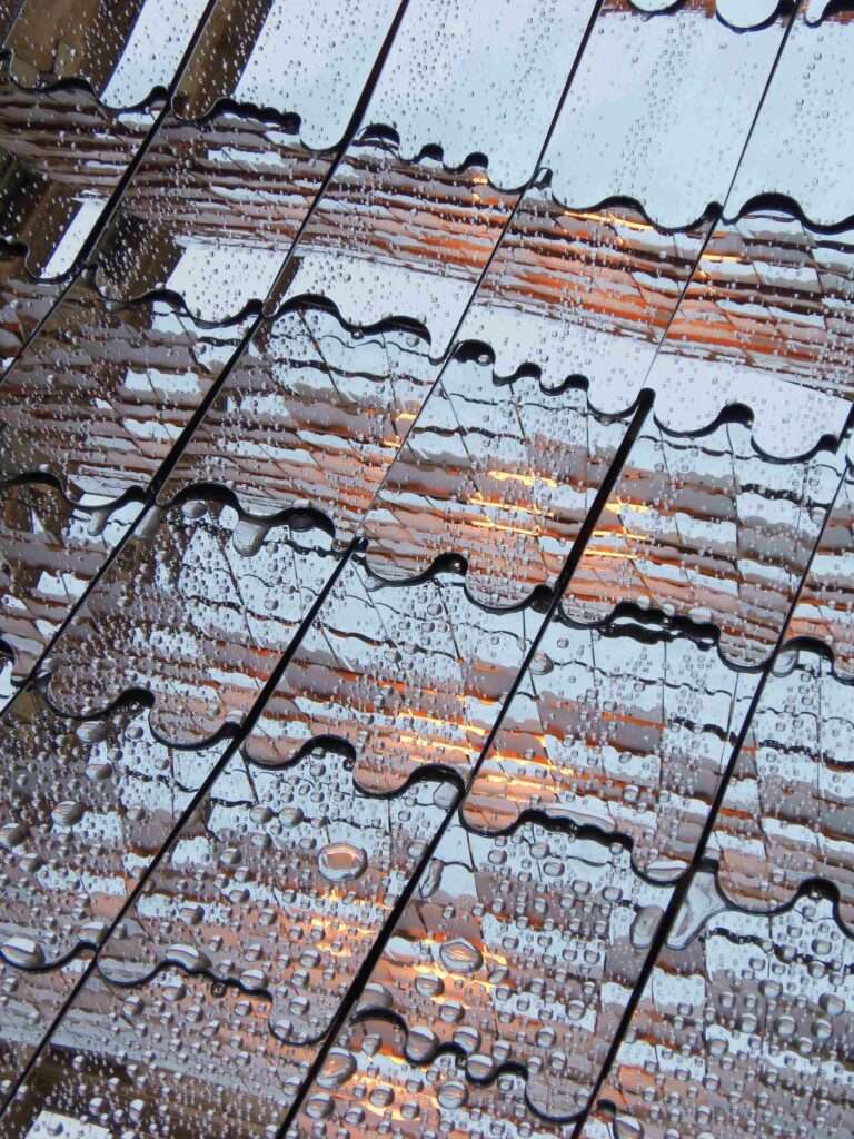 Photo credit: Álvaro González Serrano