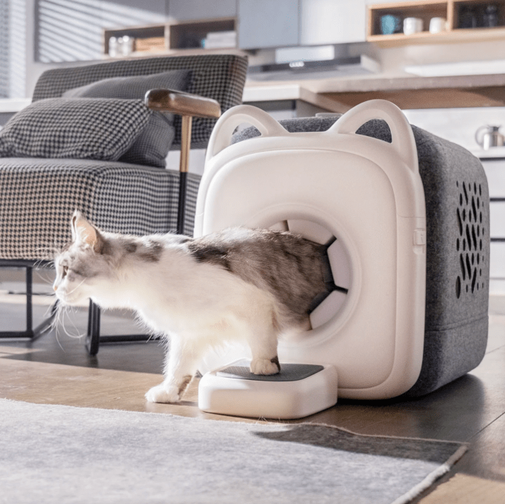 Photo courtesy of PawSwing