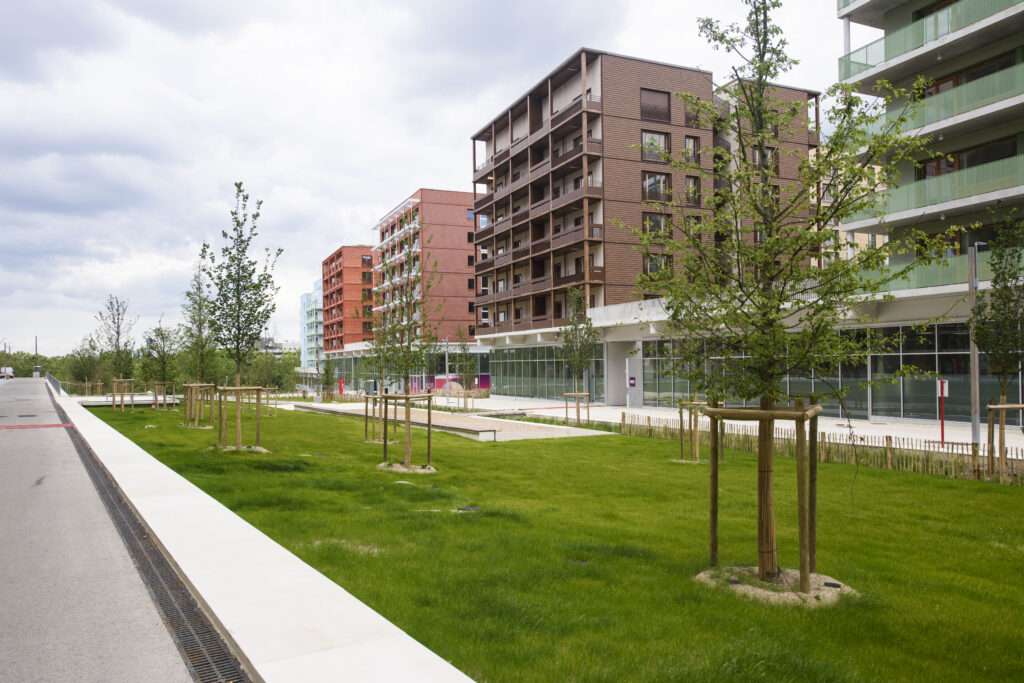 Photo credit: SOLIDEO-Sennse-Cbadet