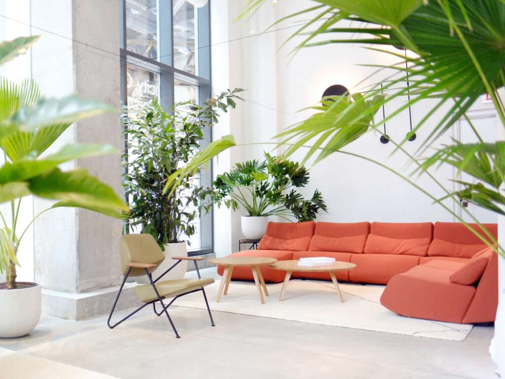 Photo credit: Prostoria