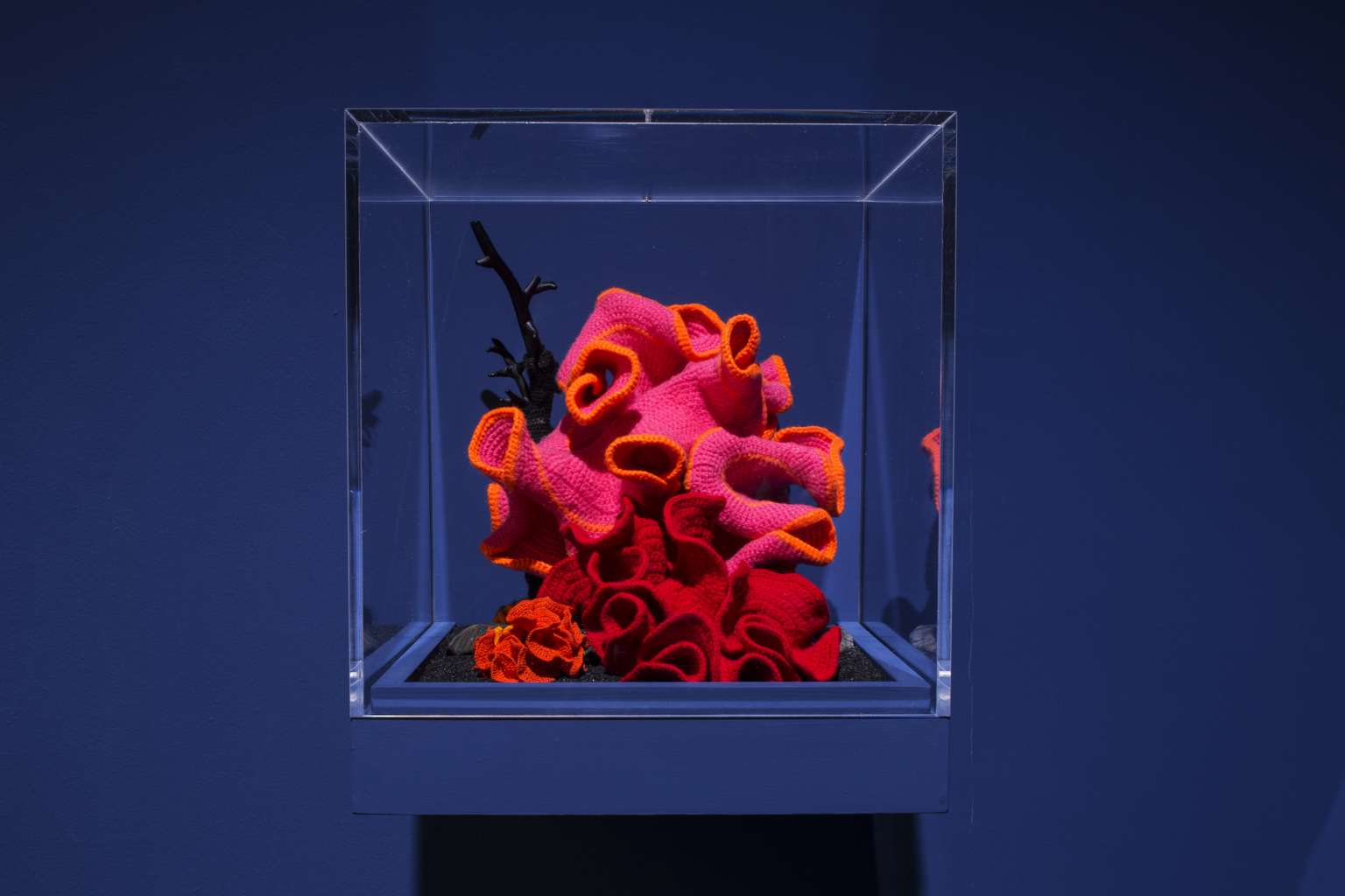 Seeing the Unseeable