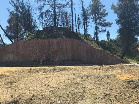 Photo credit: Joshua White Photograpy