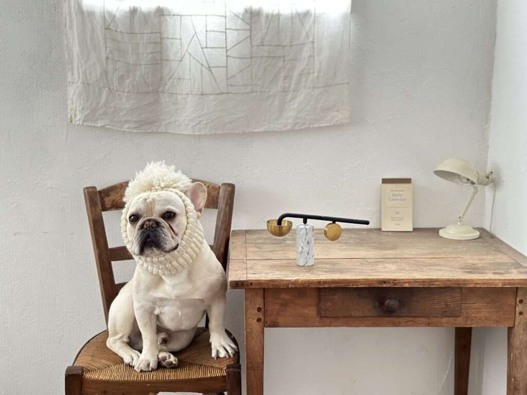 Photo courtesy of Get The Pong