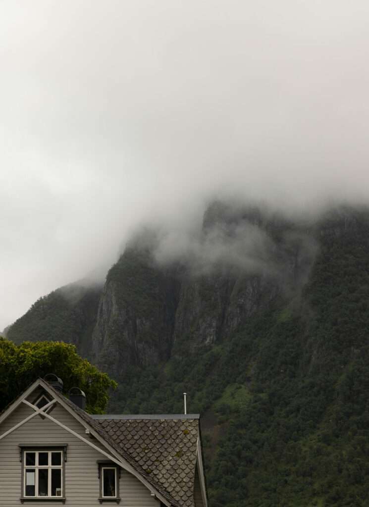 Photo credit: Jonas Bjerre-Poulsen & Restaurant Iris