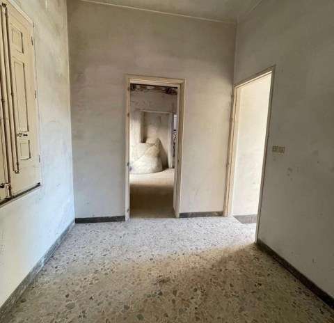 Photo credit: Meredith Tabbone