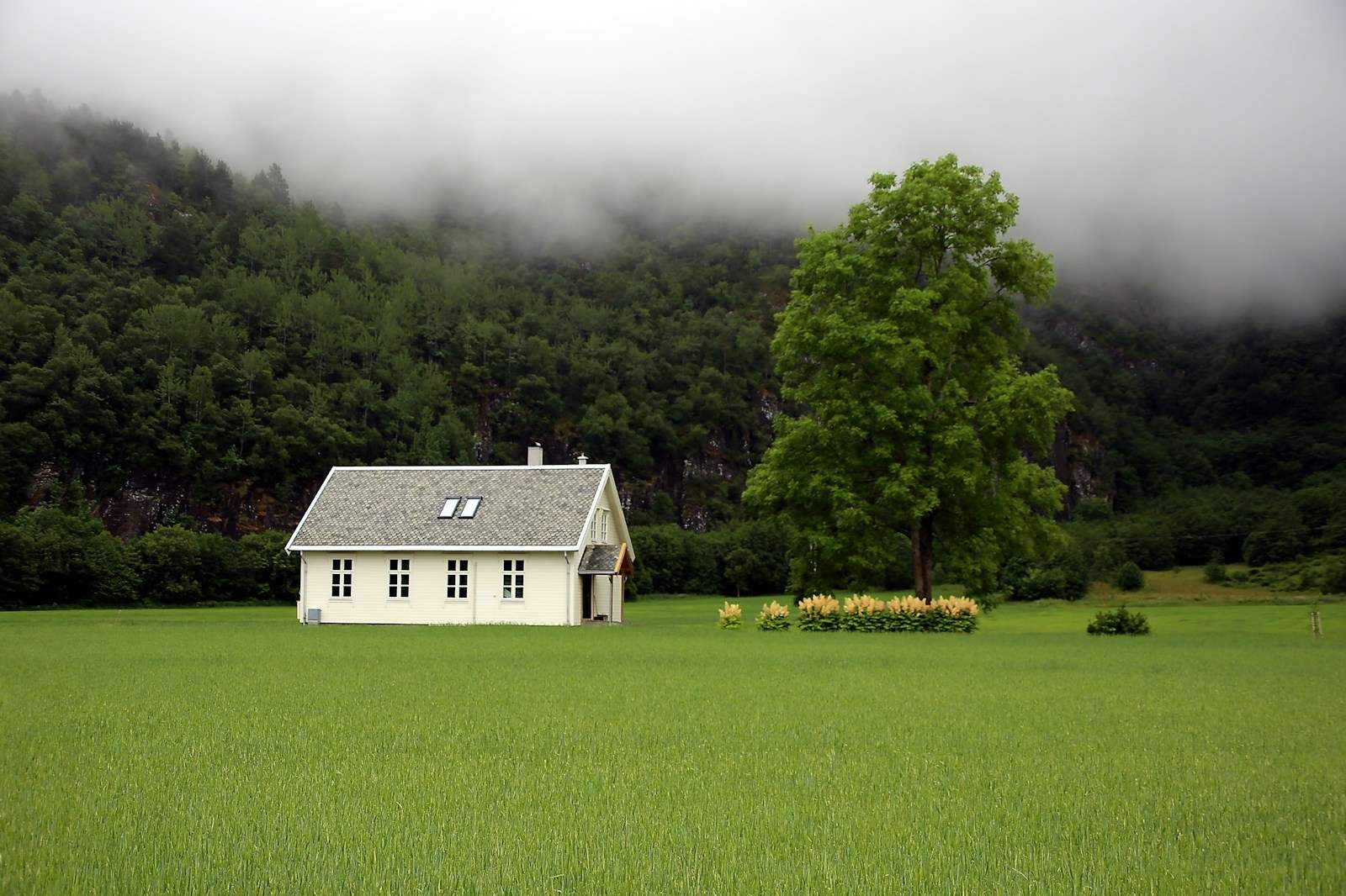 Sharing The Key Elements in Sustainable Housing - D5 MAG – Design Magazine
